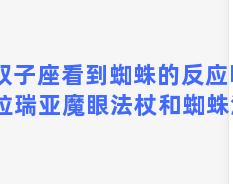 双子座看到蜘蛛的反应吗 泰拉瑞亚魔眼法杖和蜘蛛法杖